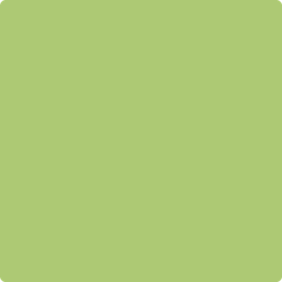 2029-40: Stem Green a paint color by Benjamin Moore avaiable at Clement's Paint in Austin, TX.