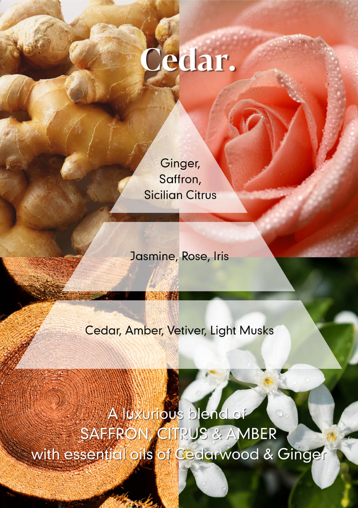Cedar Hand Cream