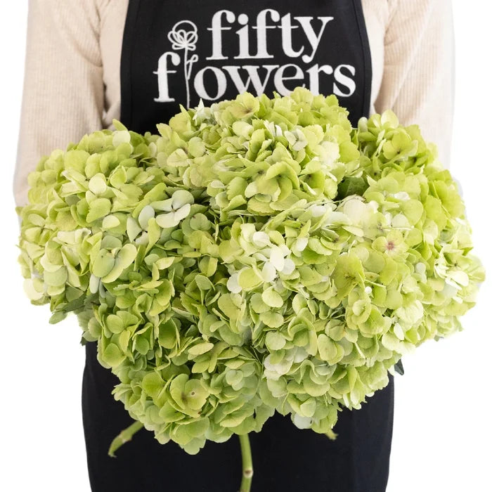 Giant Pale Green Hydrangea Flower Apron - Image