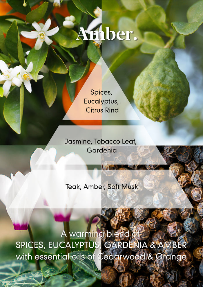 Amber Reed Diffuser