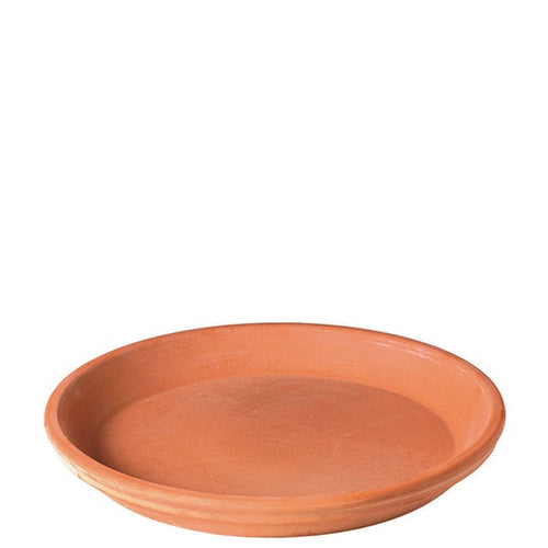 Blush Clay Saucer cm. 17 (6.7")