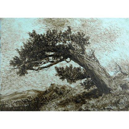 Dorland's Wax Medium