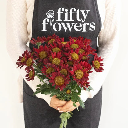 Old Maroon Giant Eye Daisy Apron - Image