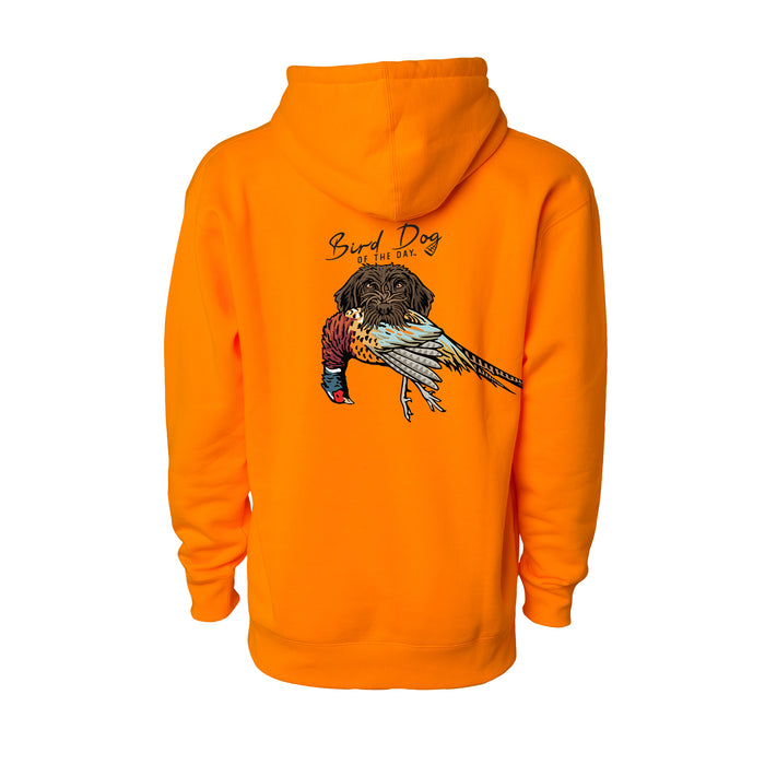 Wirehaired Pointing Griffon with a Pheasant / Blaze Orange / XS