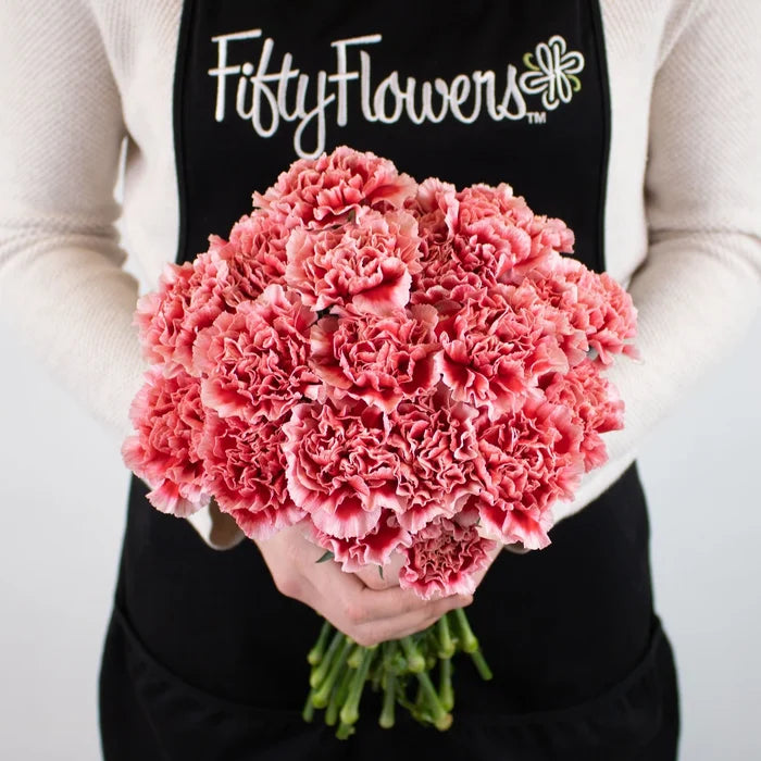 Red White Carnation Flower Bunch in Hand