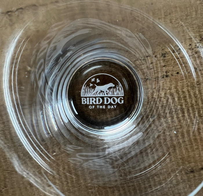 Spinone Italiano Pilsner Glass