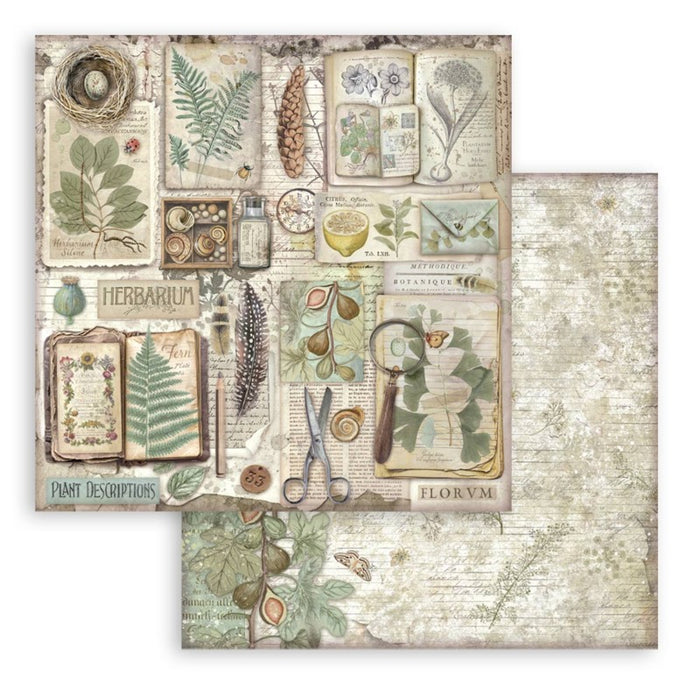 Stamperia - 12X12 Paper Pad - Herbarium Silvae. 10 sheets. Available at Embellish Away located in Bowmanville Ontario Canada.