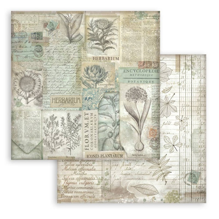 Stamperia - Backgrounds Double-Sided Paper Pad 12"X12" - 10/Pkg - Herbarium Silvae. Available at embellish Away located in Bowmanville Ontario Canada.