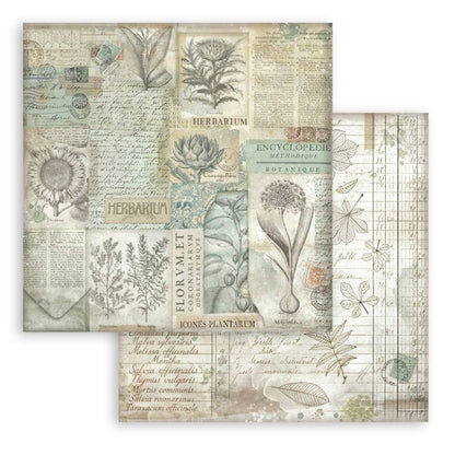 Stamperia - Backgrounds Double-Sided Paper Pad 12"X12" - 10/Pkg - Herbarium Silvae. Available at embellish Away located in Bowmanville Ontario Canada.