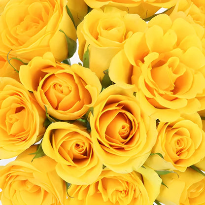 Yellow Gold Sweetheart Roses